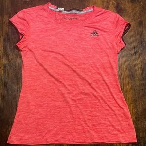 NEEDS A HOME🤣 🧡🧡🧡🧡